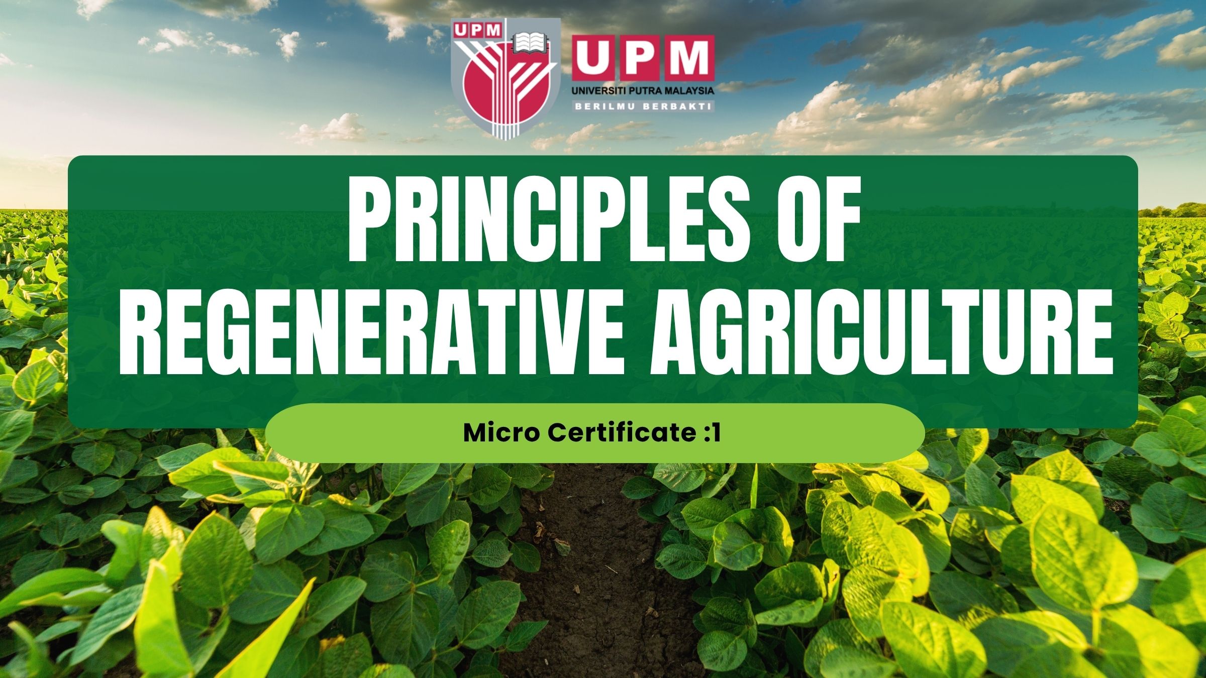 Principles of Regenerative Agriculture