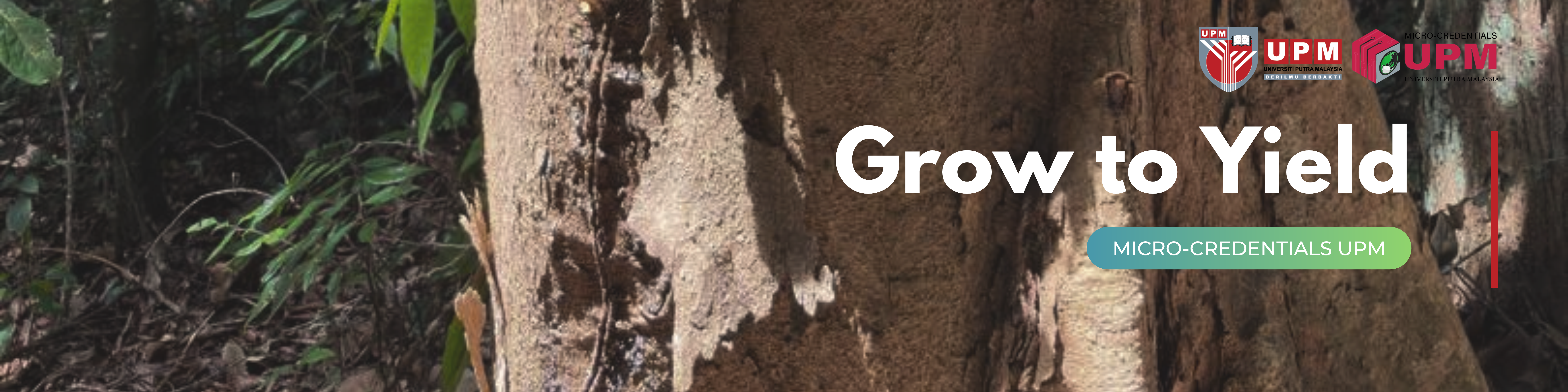 Grow