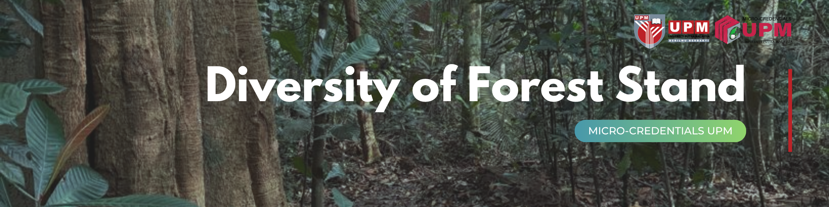 Diversity of Forest Stand