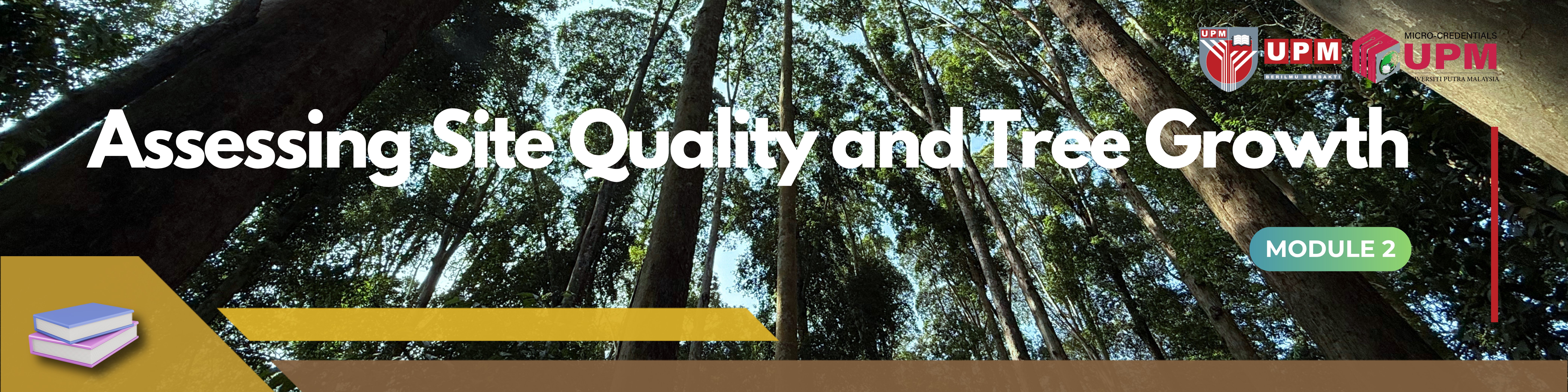 Assessing Site Quality and Tree Growth