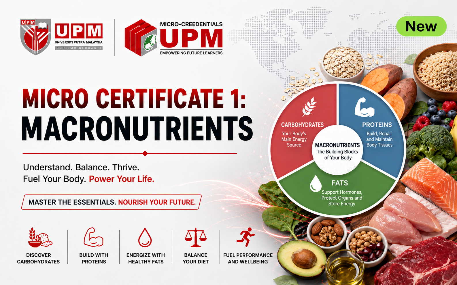Micro Certificate 1: Macronutrients