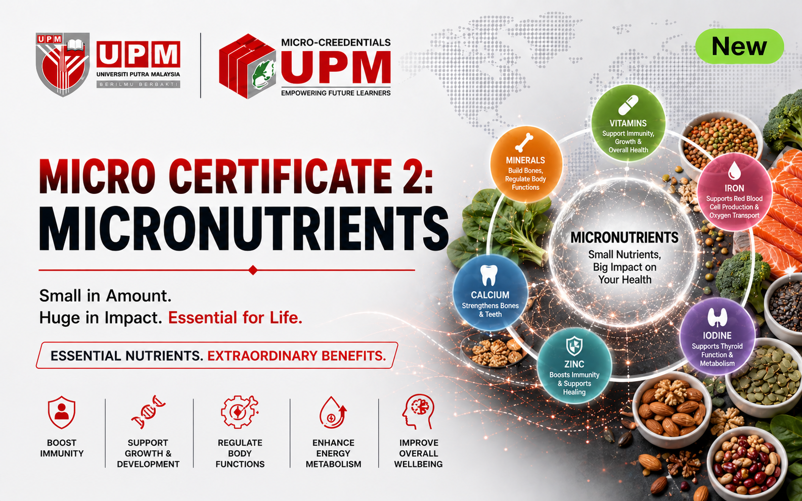 Micro Certificate 2: Micronutrients