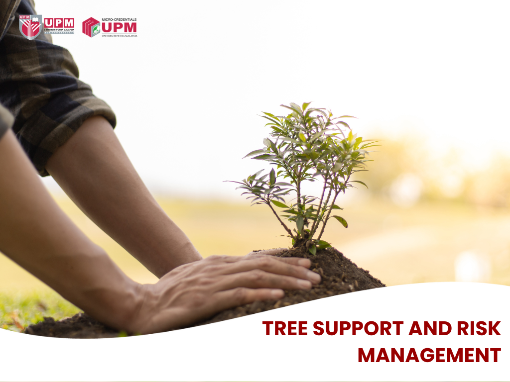 Tree Support And Risk Management