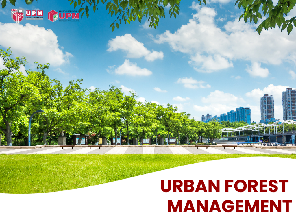 Urban Forest Management