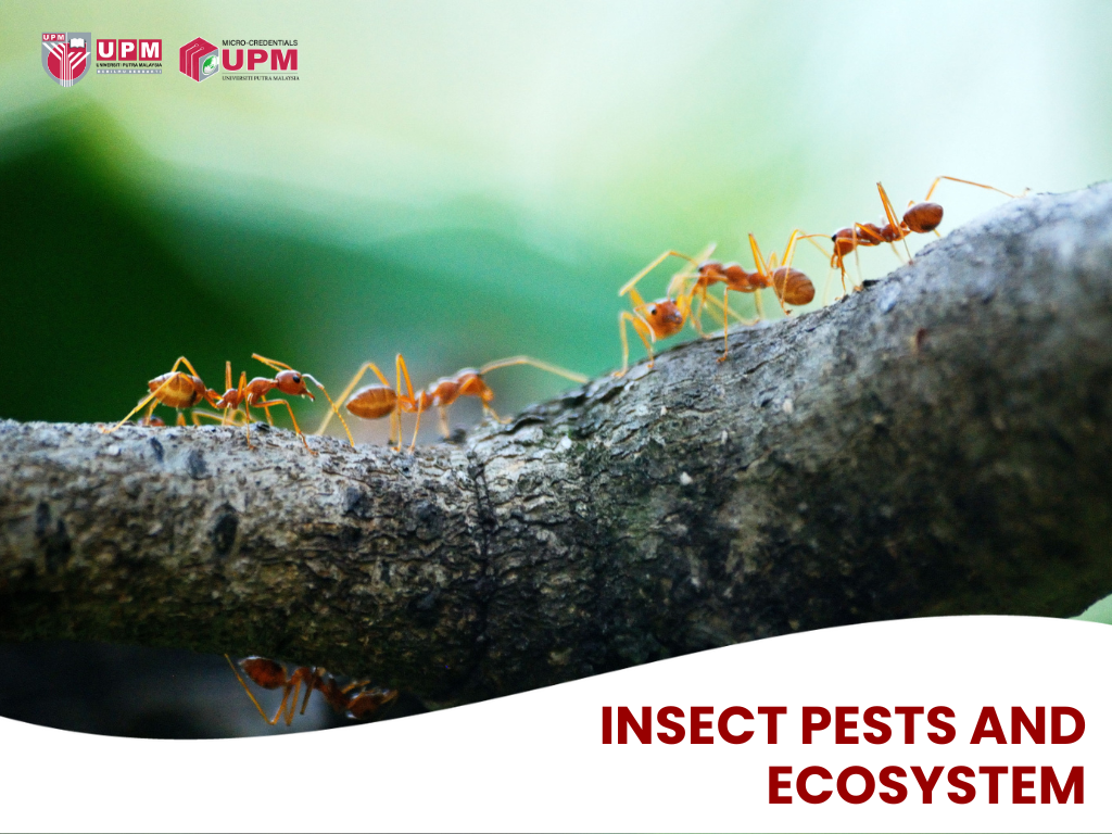Insect Pests And Ecosystem