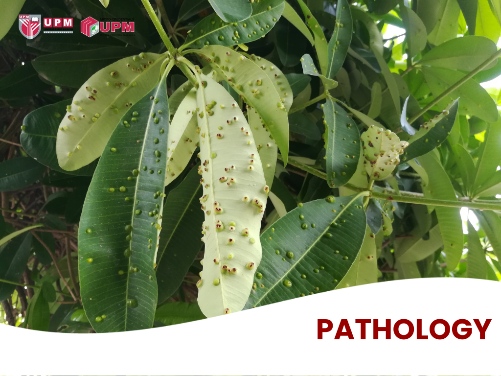 Pathology